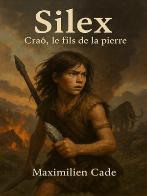 cover image of Silex